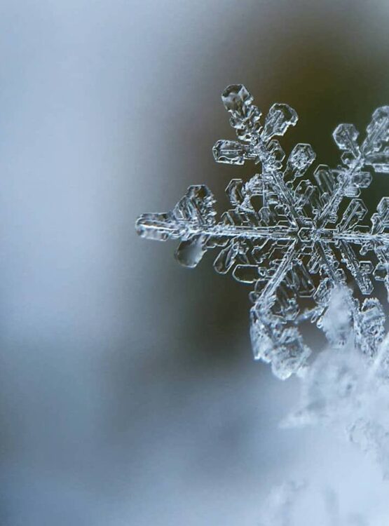 Supporting Your Mental Health During the Holiday Season